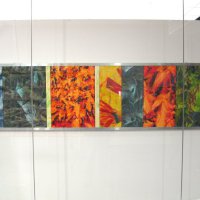 ausstellungen 2014